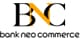 BSI